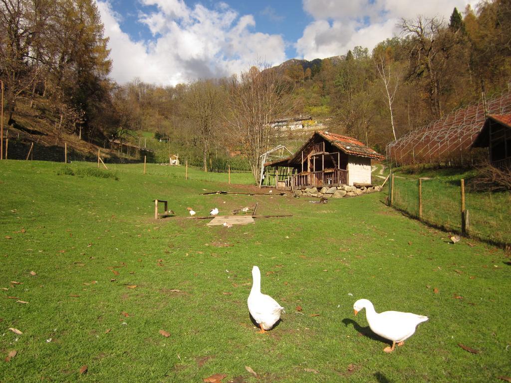 B&B Al Larice Striegen Exterior foto