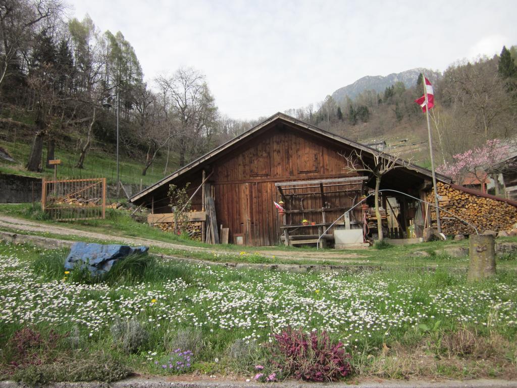 B&B Al Larice Striegen Exterior foto
